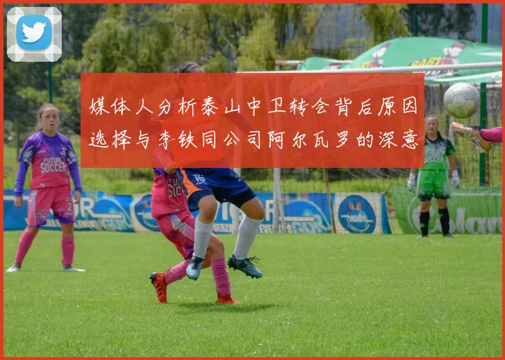 媒体人分析泰山中卫转会背后原因选择与李铁同公司阿尔瓦罗的深意