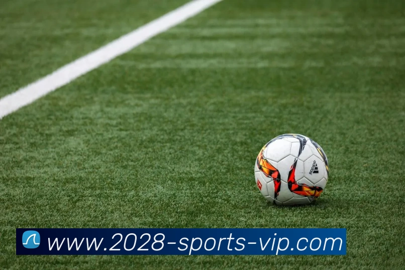 2028体育APP 体育赛事宣传图